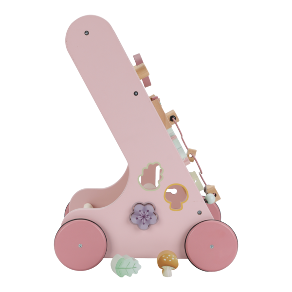 Primi passi multi-attivit  - Fairy Garden FSC